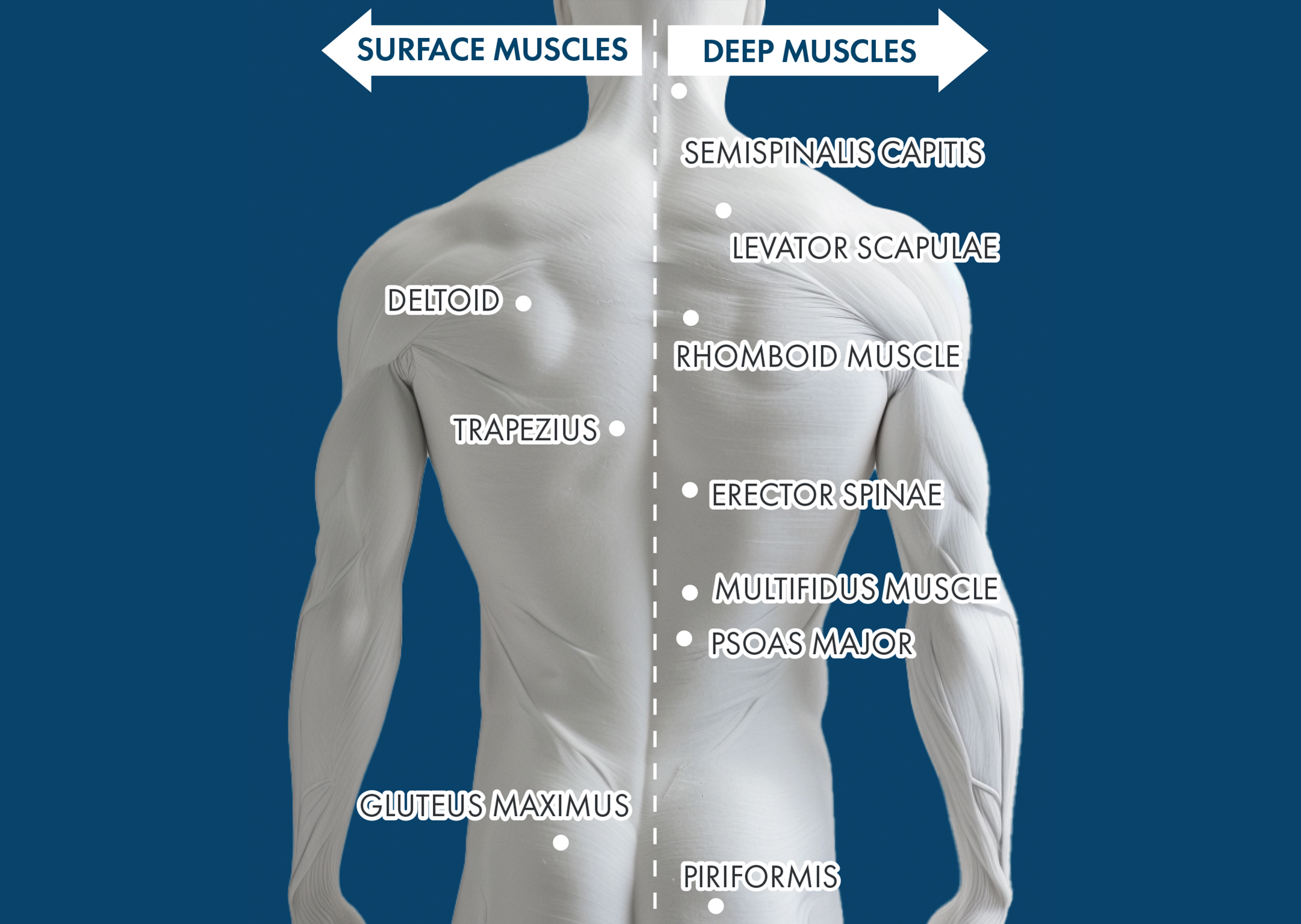 Massages Are Precisely Tailored to Each Individual’s Body